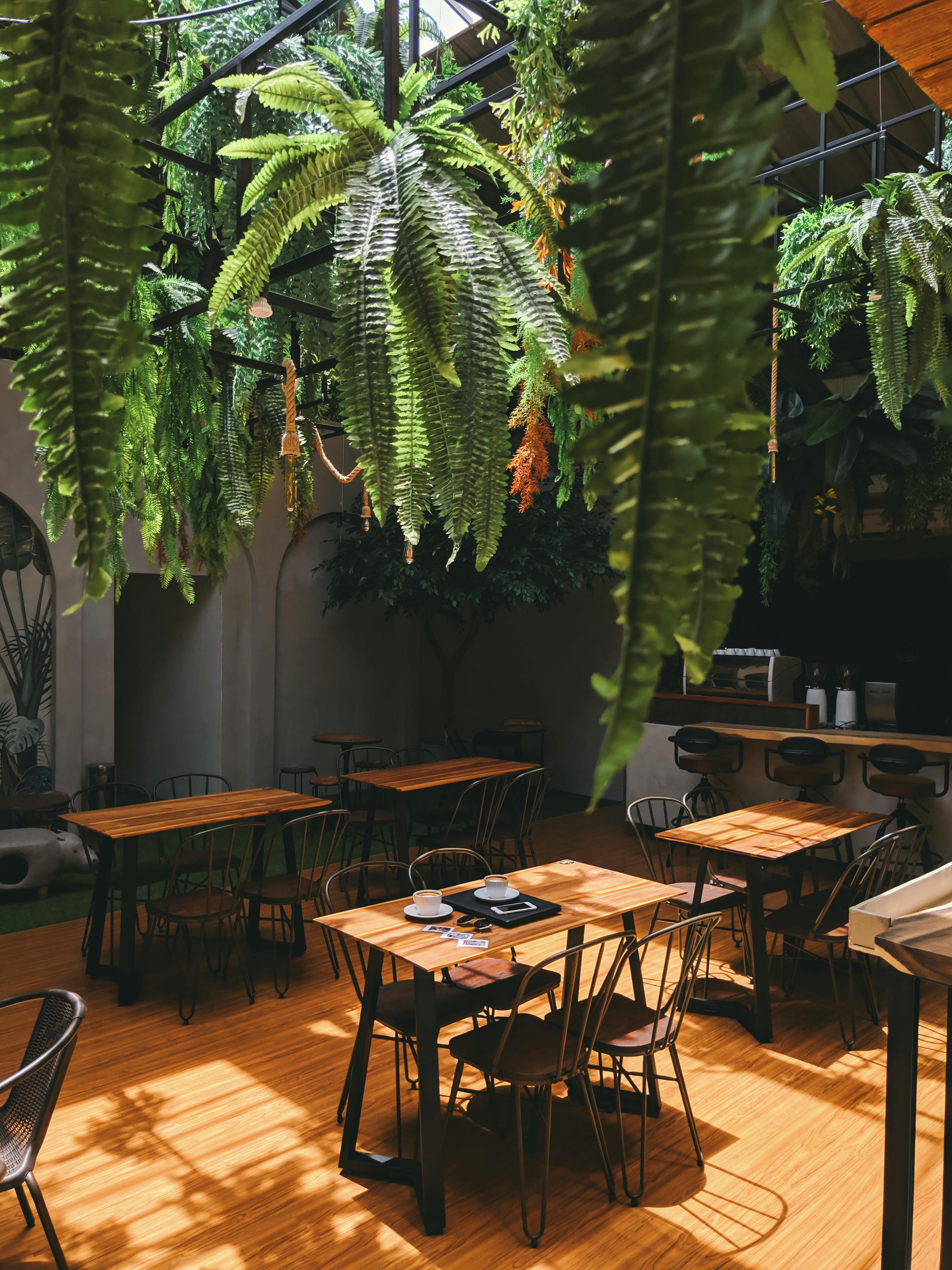 Interior acogedor del Restaurante Delicioso con decoración moderna y ambiente cálido